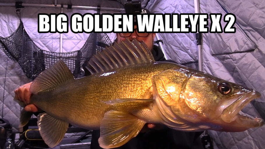 Ice Fishing for Big Walleye | Better to be Lucky than good!