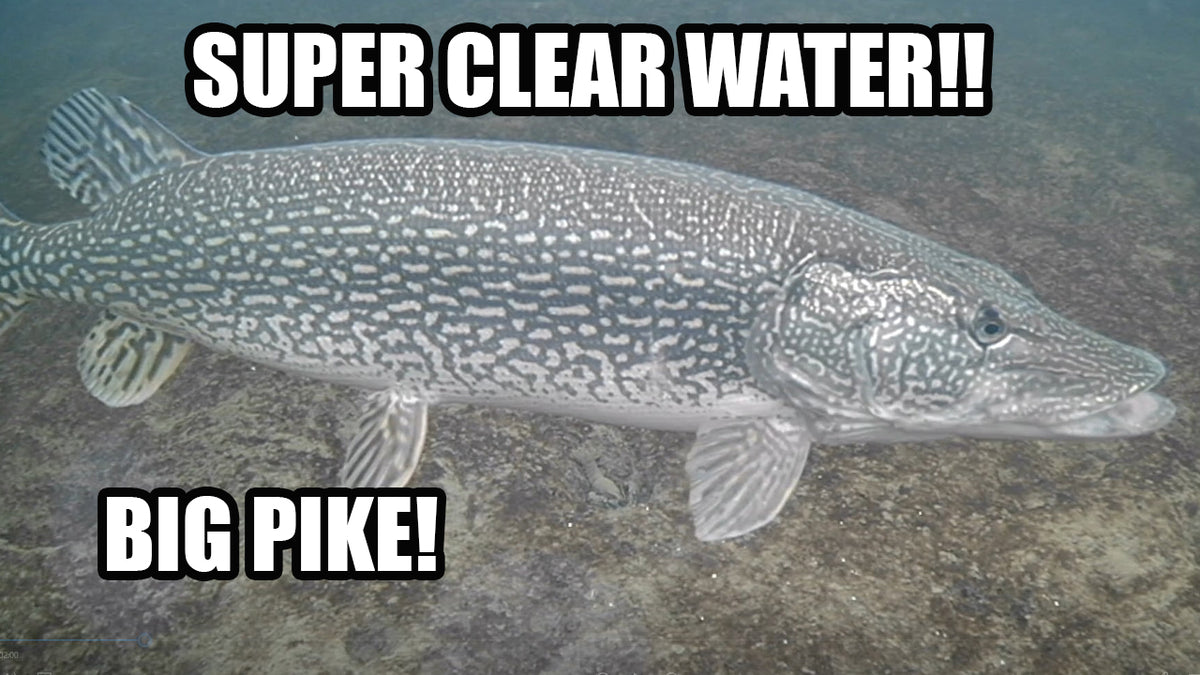 Ice Fishing BIG Pike in Super Clear Water!! Clayton Schick Outdoors