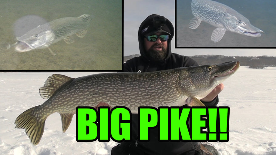 Ice Fishing for BIG PIKE!! | Amazing Underwater Footage!