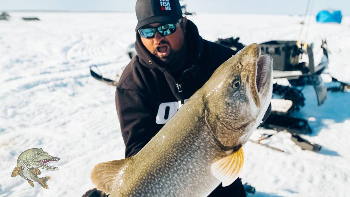 REALLY BIG Lake Trout!! Clayton Schick Outdoors