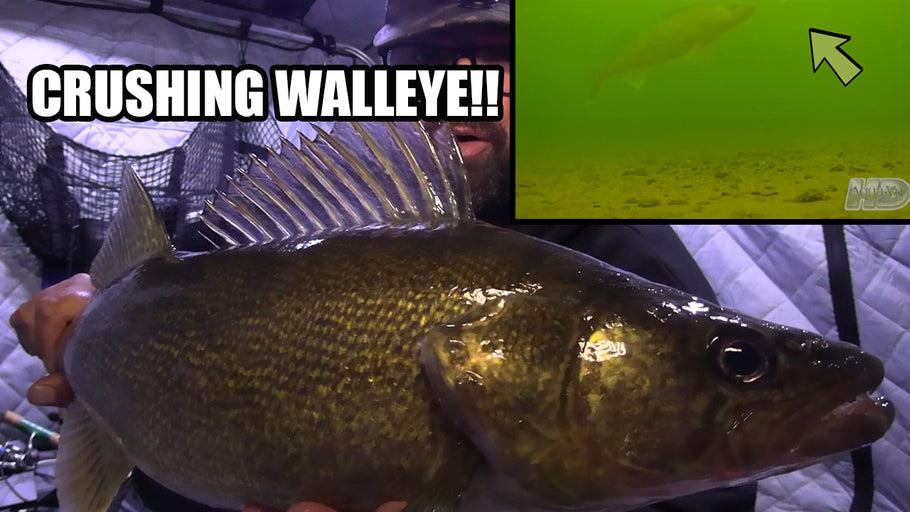 Ice Fishing Big Walleye | Amazing Underwater Footage!!