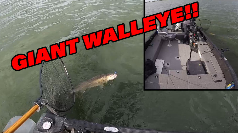 I Caught a GIANT Walleye!!
