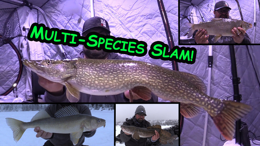 Northern Manitoba | Ice Fishing for Multi-species!