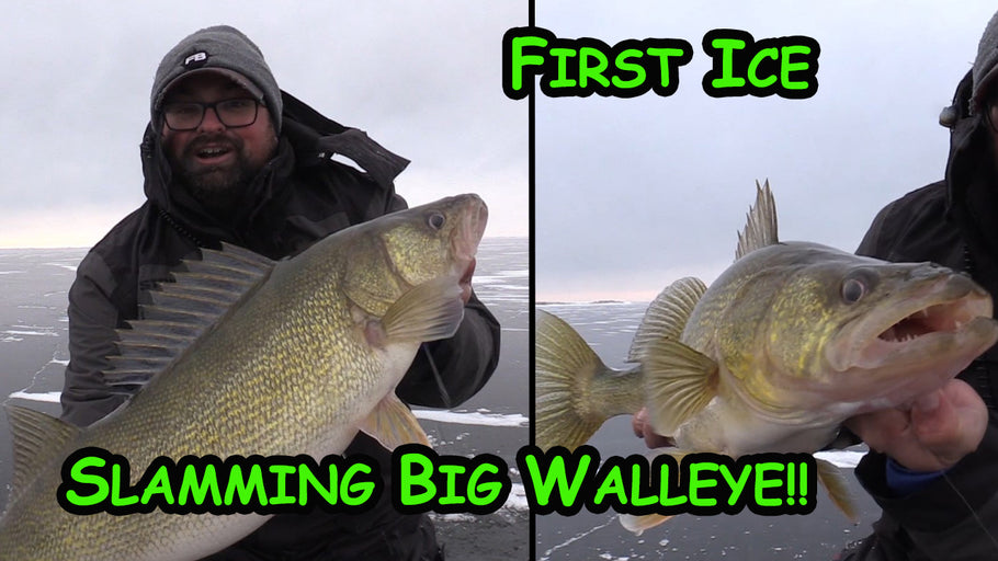 Early Ice for GIANT WALLEYE! (Back to Back)