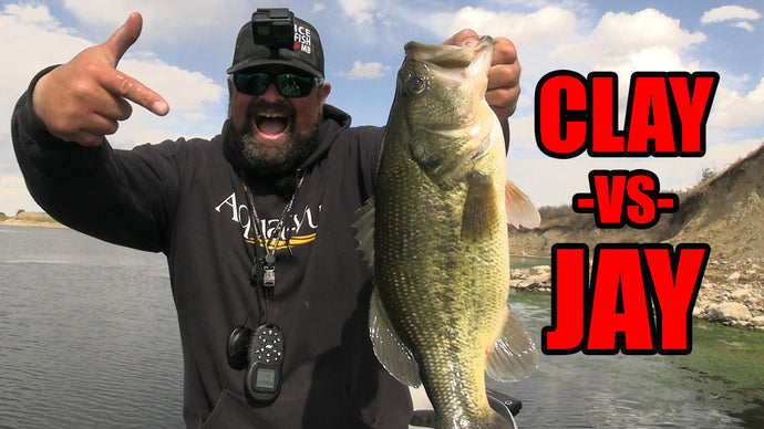 Sight Fishing Largemouth Bass! | Clay -vs- Jay Top 5 Largies!