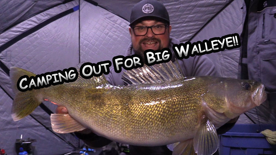 Where are the BIG Walleye?