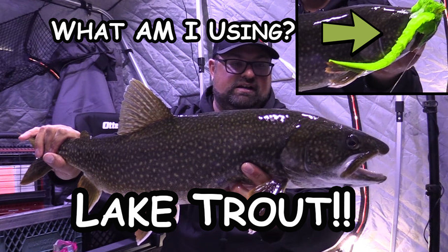 Ice Fishing Lake Trout | Ugly Green Lure!