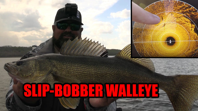 Walleye Fishing | Slip Bobber FUN!